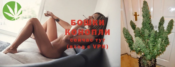 PSILOCYBIN Балахна