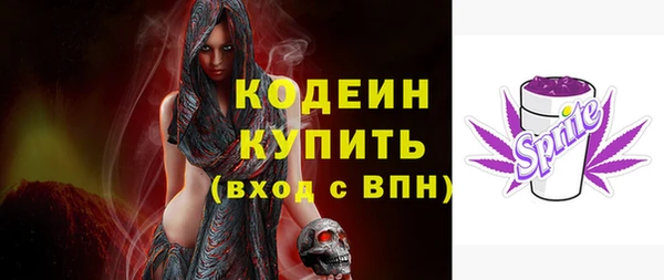 тгк Снежинск