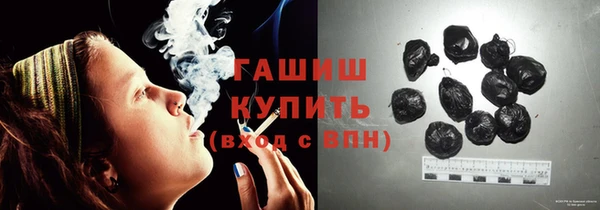 молекула духа Снежногорск