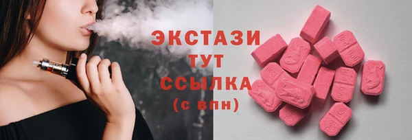 молекула духа Снежногорск