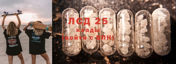 PSILOCYBIN Балахна